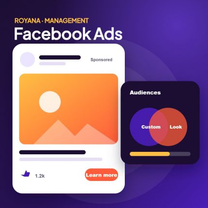 Royana facebook ads management